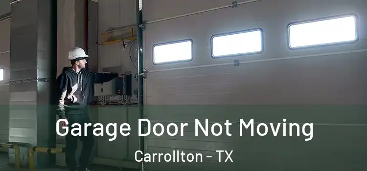  Garage Door Not Moving Carrollton - TX