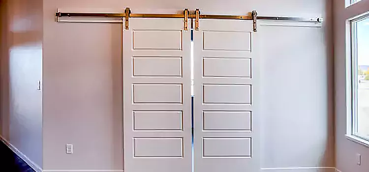 Glass Barn Door with Installation Hardware Kit Carrollton
