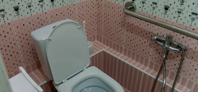 Meeting Diverse Needs With Accessible Restroom Solutions in Carrollton, TX