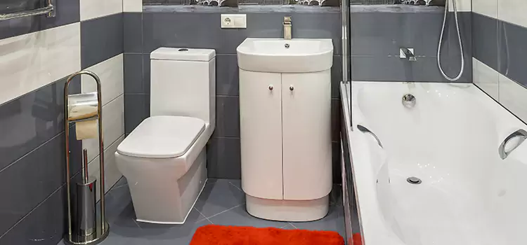 Hansgrohe Shaving Mirror Carrollton