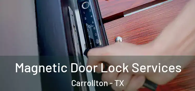  Magnetic Door Lock Services Carrollton - TX