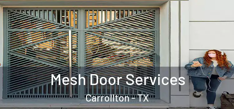 Mesh Door Services Carrollton - TX