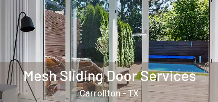  Mesh Sliding Door Services Carrollton - TX