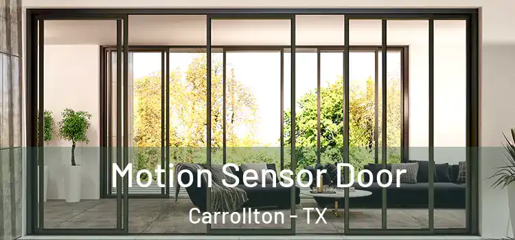  Motion Sensor Door Carrollton - TX